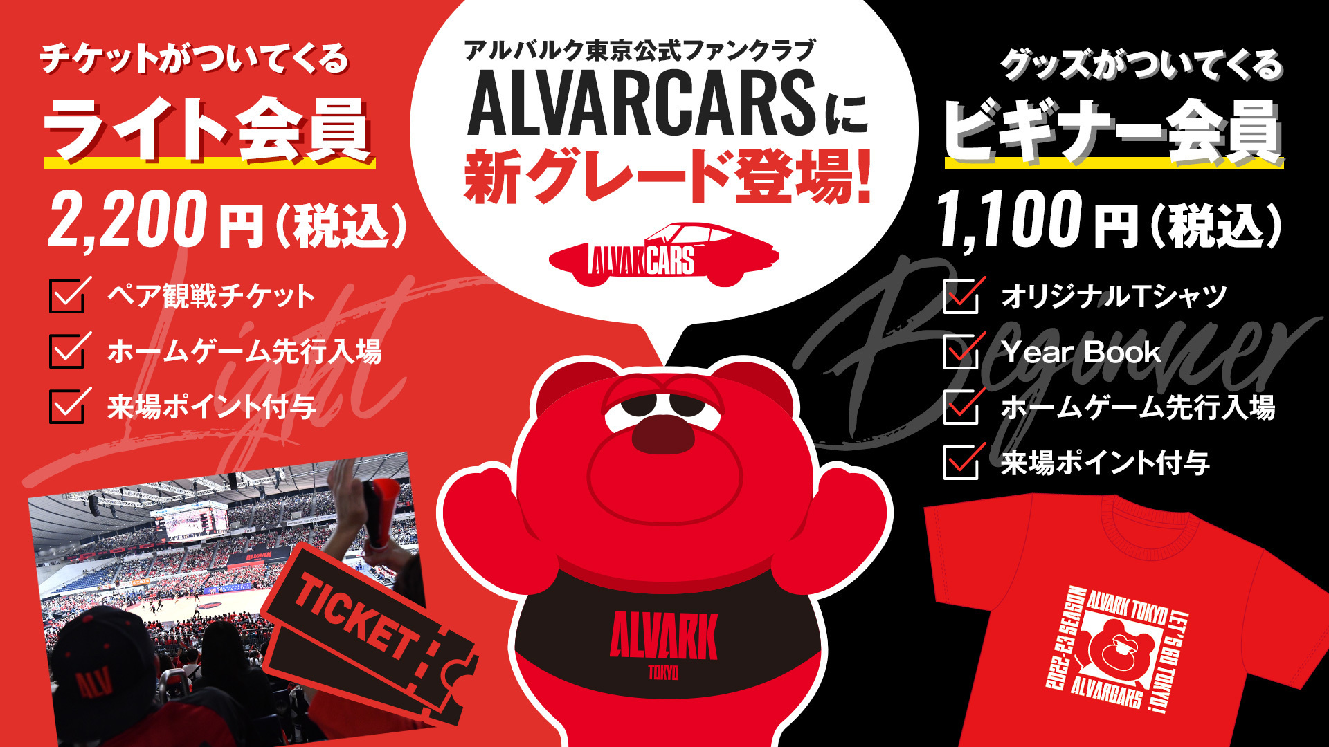 公式ファンクラブ【ALVARCARS】新グレード追加のお知らせ | アルバルク東京