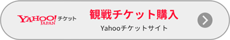 アレグリア○チケット○SS席2枚○4月23日○日曜日○シルク・ドゥ